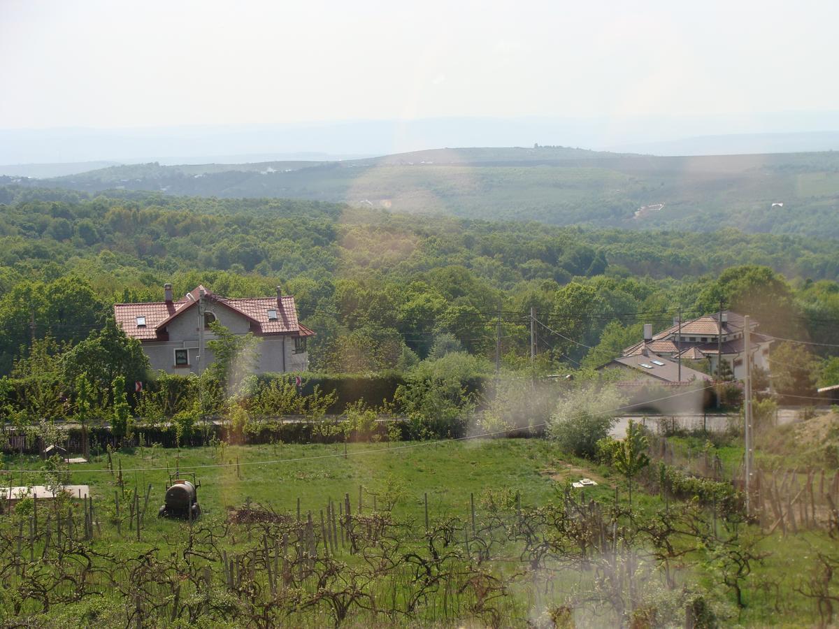 Pensiunea Taverna Bucium Iasi Exteriér fotografie